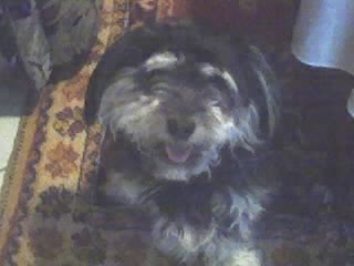 JACK