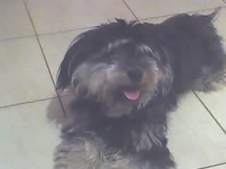 jack